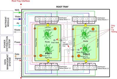 Design of a Module for Cultivation of Tuberous Plants in Microgravity: The ESA Project “Precursor of Food Production Unit” (PFPU)